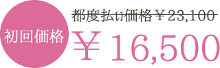 通常価格￥23,100のところ、初回のチケット価格は￥16,500